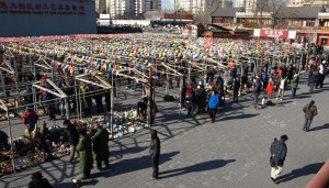 Snabbt besök på Panjiayuans jätteloppmarknad