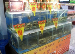 Dyra krabbor på Carrefour i Beijing